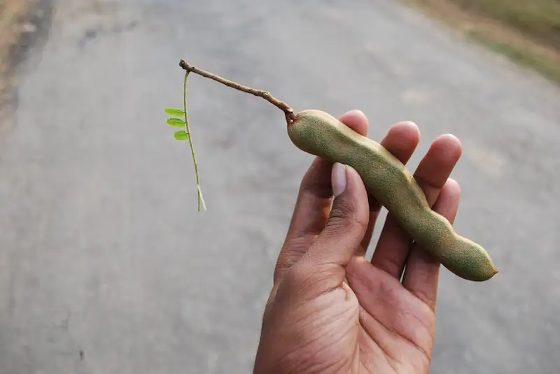 健康的饮食习惯